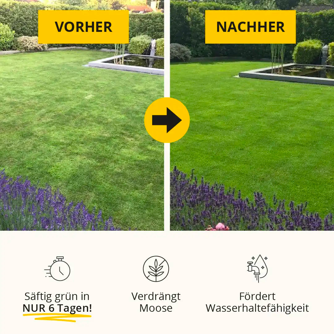 Matthies Rasendünger