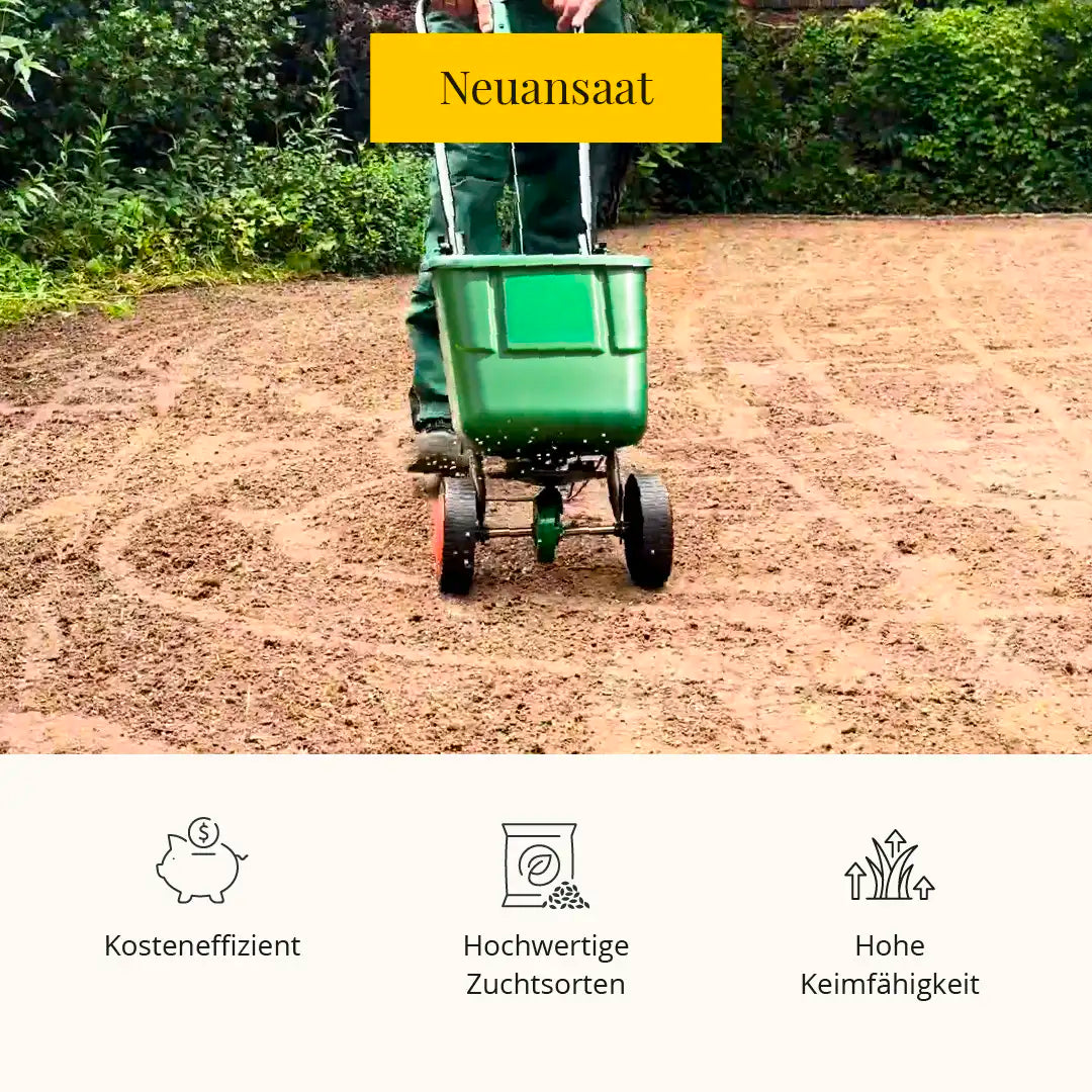 Rasensaat: Spiel- und Freizeitrasen
