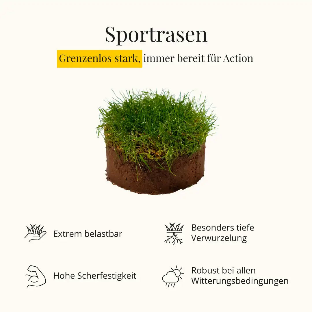 Sportrasen RSM 3.1