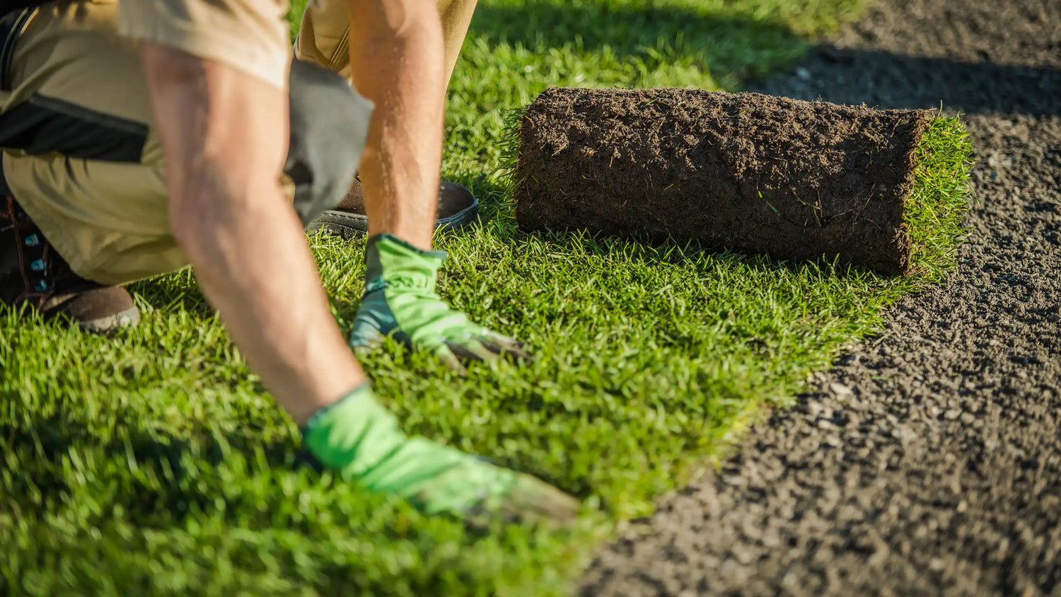 Matthies Landwirtschaft - Rollrasen Verlegung Profi