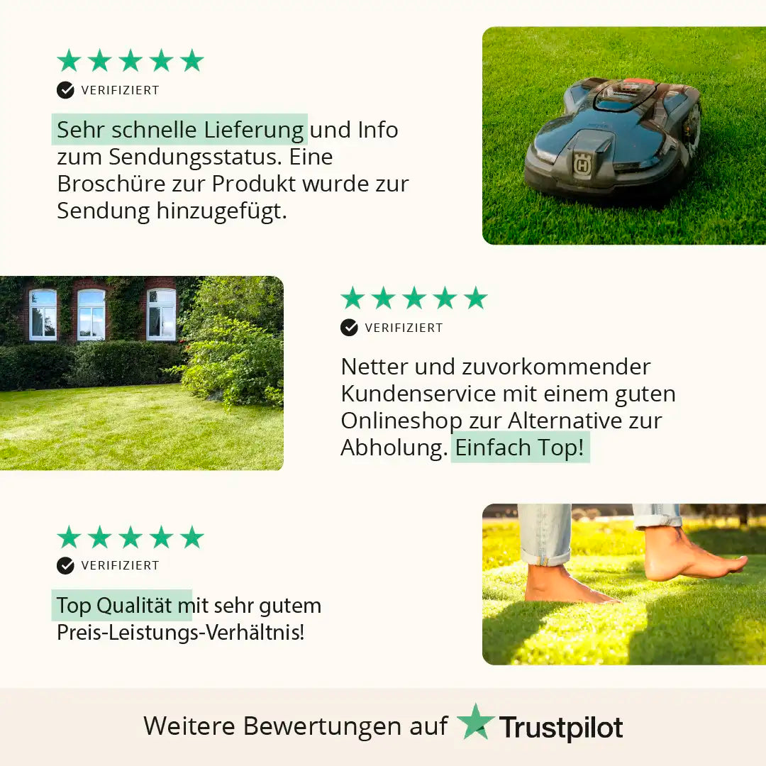 Rasensaat: Premium Supra