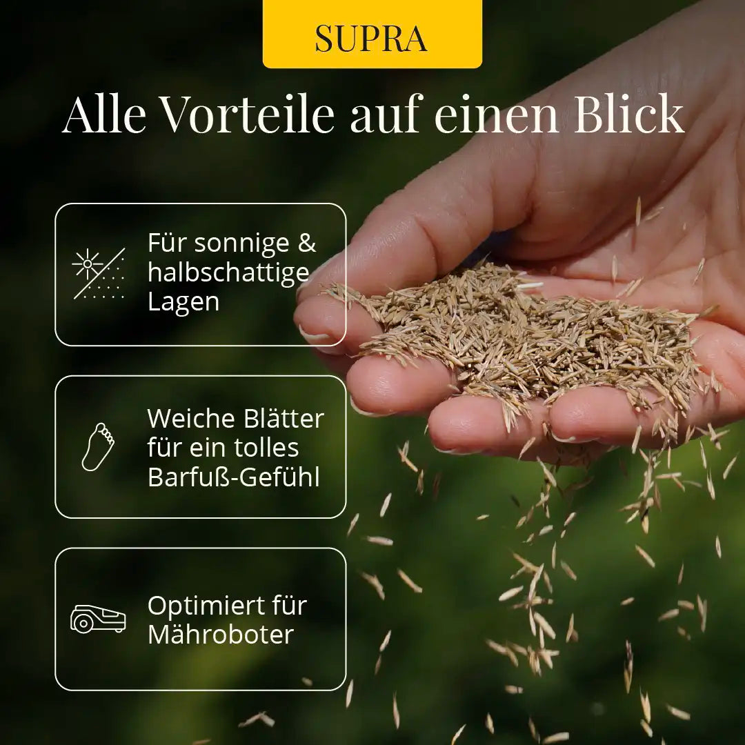 Rasensaat: Premium Supra