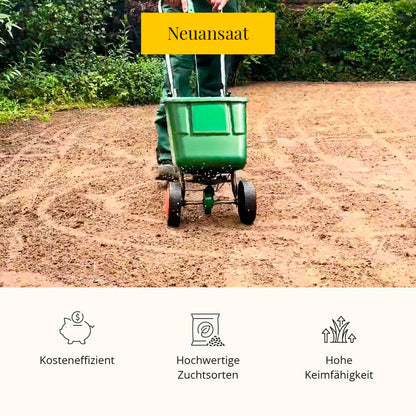 Rasensaat: Spiel- und Freizeitrasen