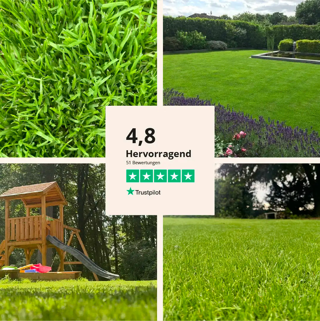 Rasensaat: Spiel- und Freizeitrasen