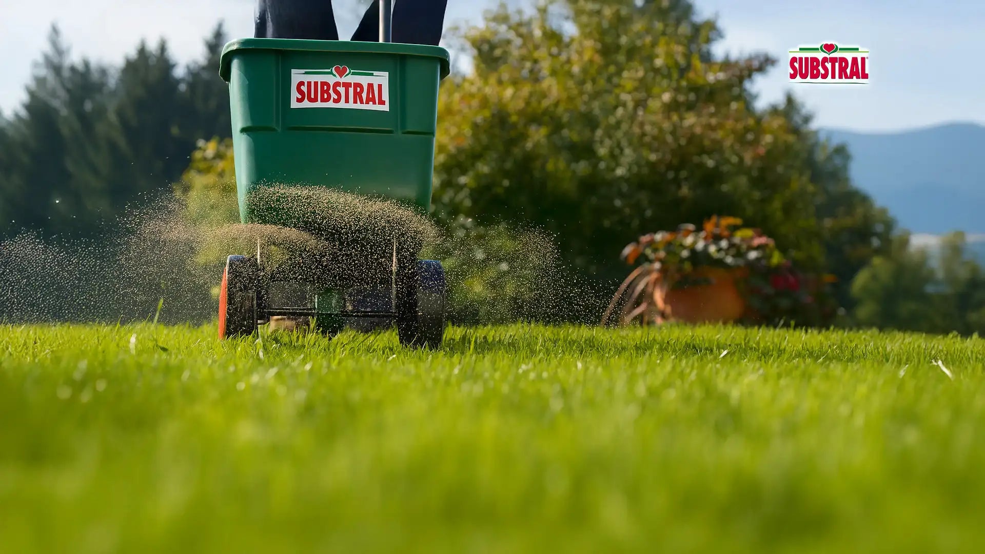 Laden Sie das Video: 