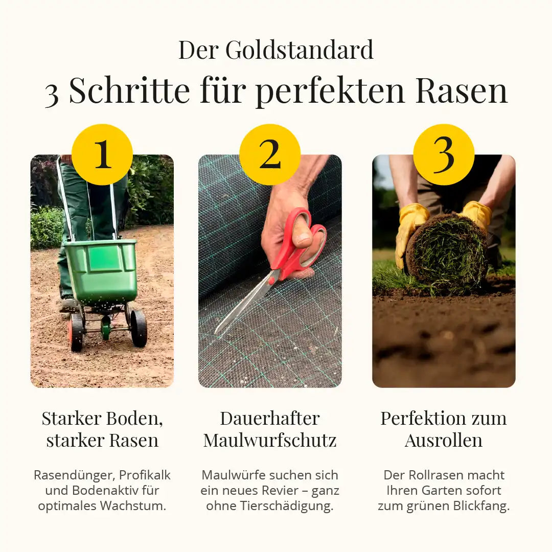 Sportrasen RSM 3.1