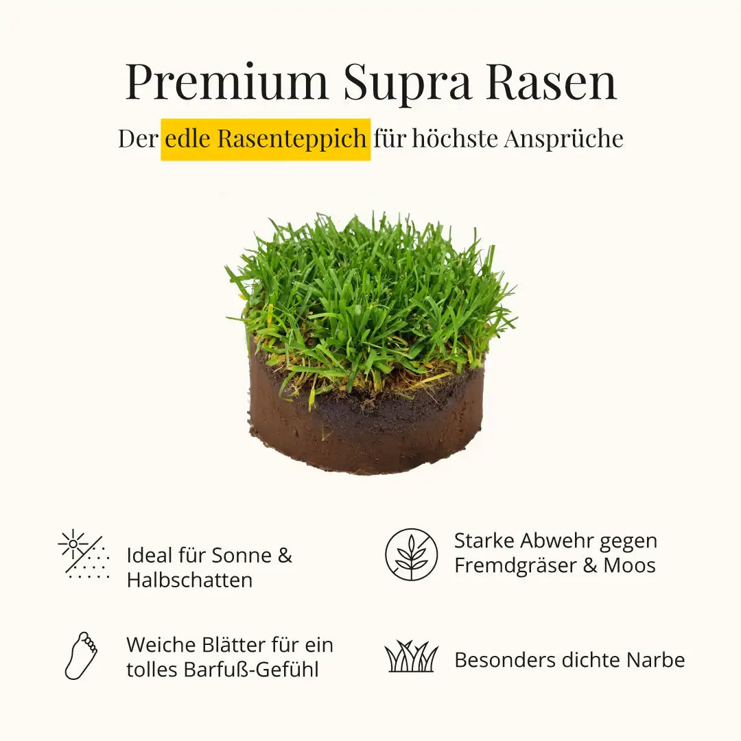 Premium Supra Rasen