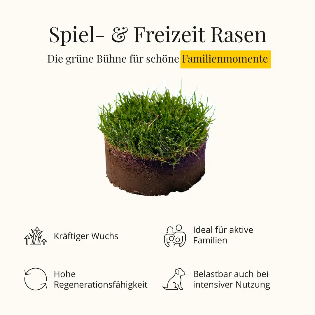 Spiel- und Freizeitrasen RSM 2.3
