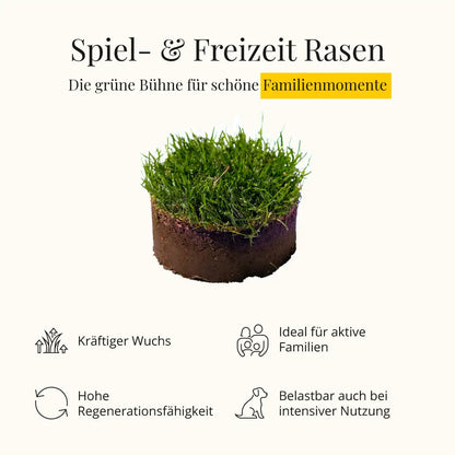 Spiel- und Freizeitrasen RSM 2.3