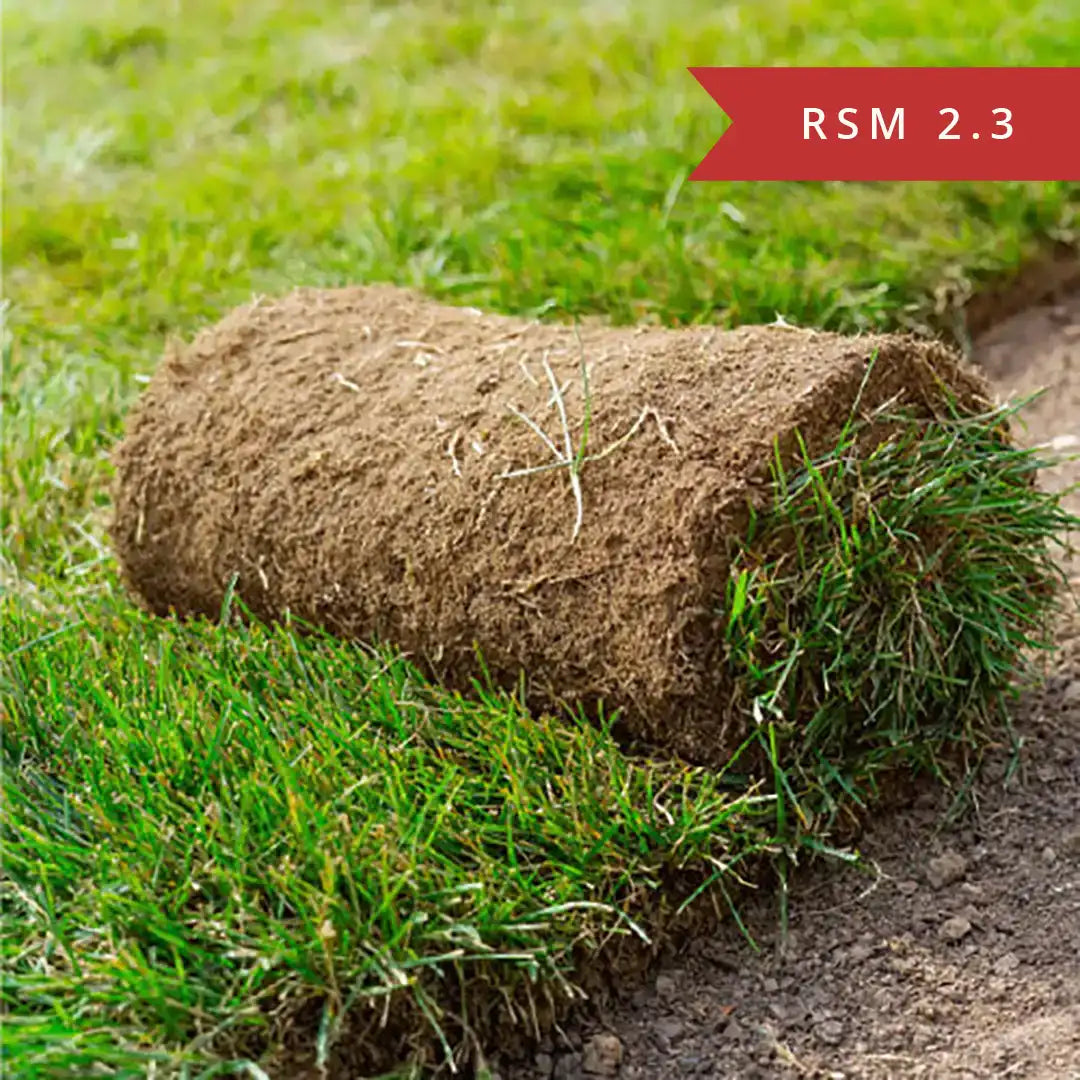 Spiel- und Freizeitrasen RSM 2.3