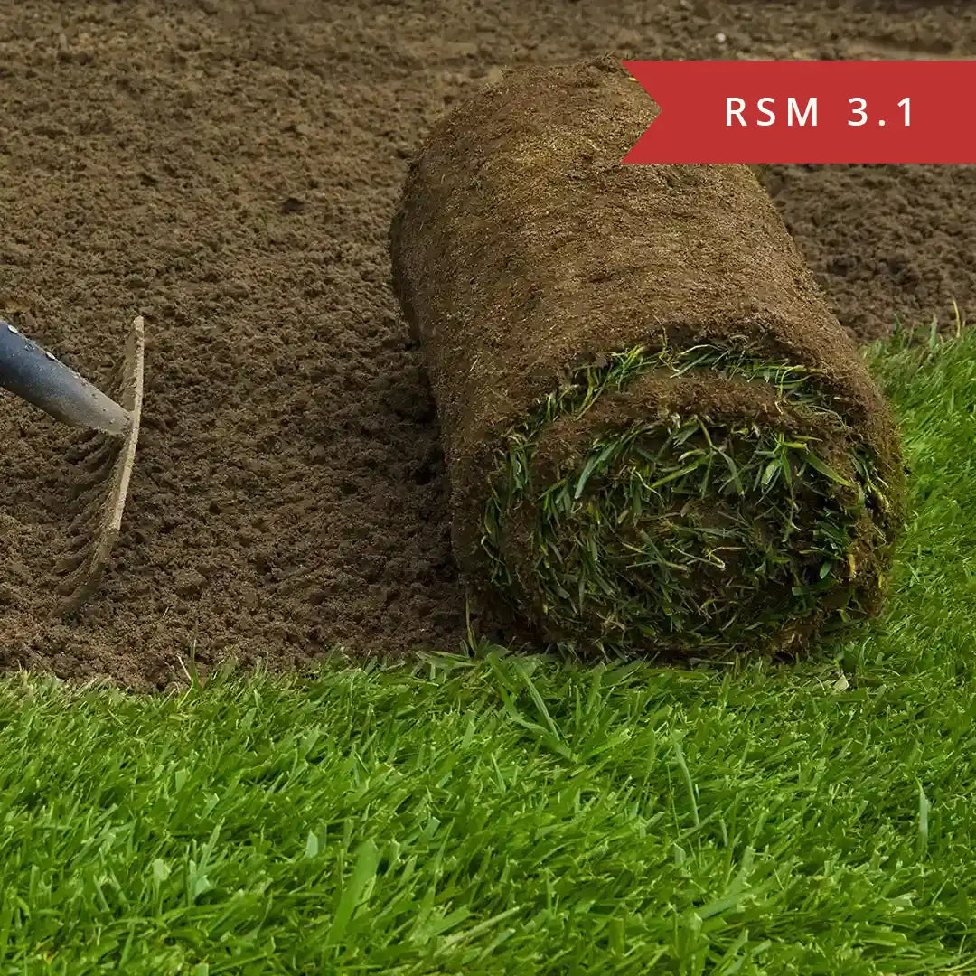 Sportrasen RSM 3.1