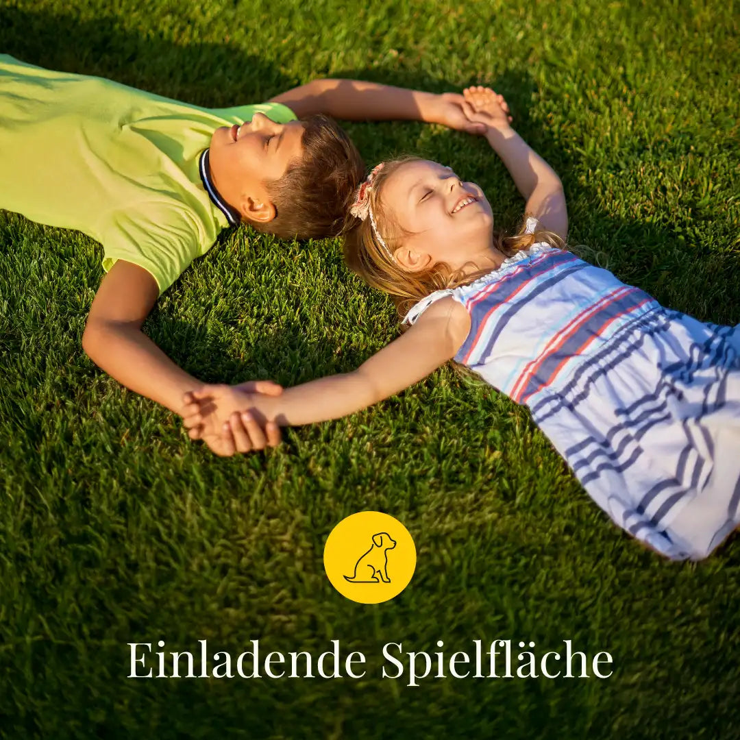 Spiel- und Freizeitrasen RSM 2.3