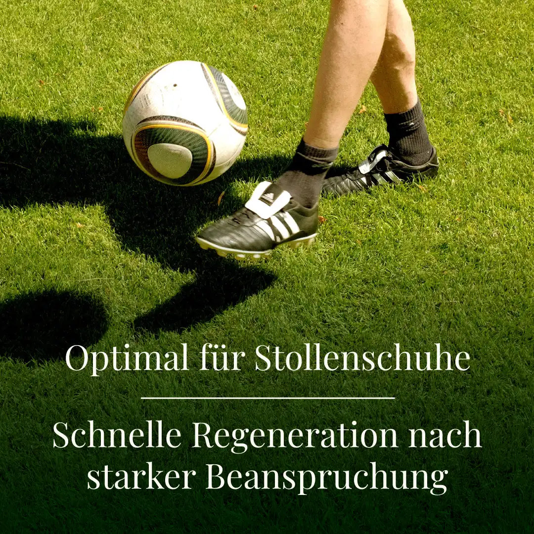 Sportrasen RSM 3.1