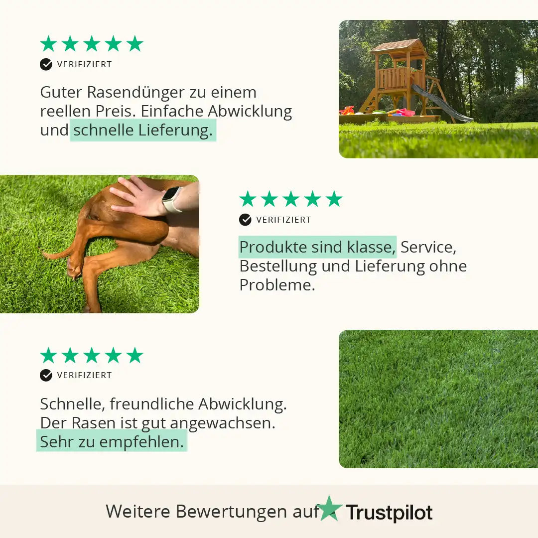 Spiel- und Freizeitrasen RSM 2.3