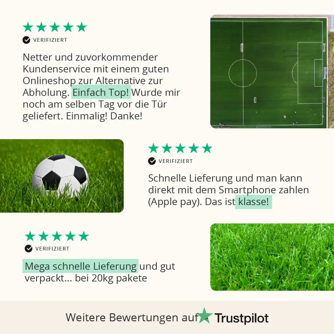 Sportrasen RSM 3.1