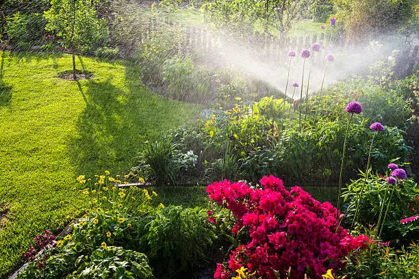 Matthies Landwirtschaft - Rasensprenger im Garten