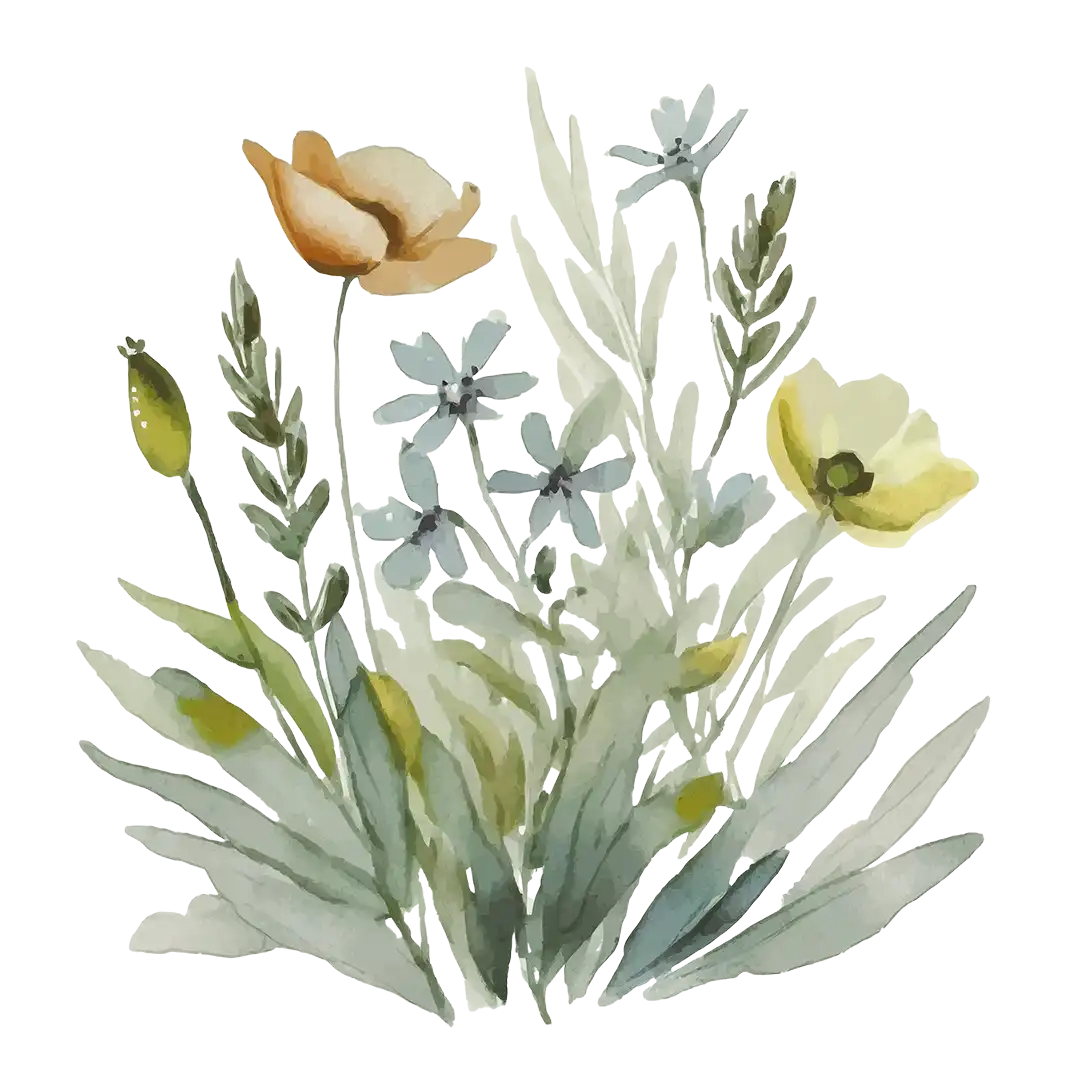 Matthies Wildblumensaat  Matthies Landwirtschaft