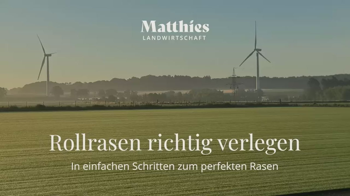 Laden Sie das Video: 